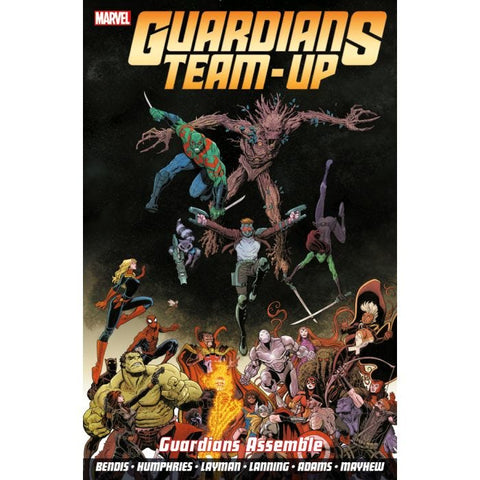 Guardians Team-Up Vol.1: Guardians Assemble Paperback