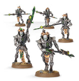 Necron Triarch /  Lychguard Praetorians