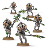 Necron Triarch /  Lychguard Praetorians