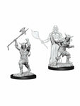 D&D Nolzur's Marvelous Miniatures: Human Barbarian