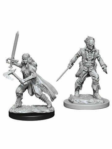 D&D Nolzur's Marvelous Miniatures Vampire Hunters