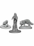 Pathfinder Battles Deep Cuts Unpainted Miniatures Familiars