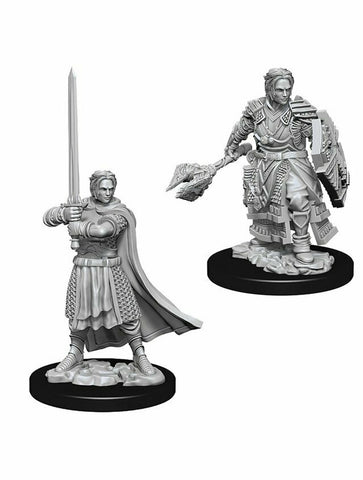 Dungeons & Dragons Nolzur's Marvelous Miniatures Human Male Cleric (Wave 8)