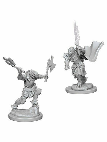 Dungeons & Dragons Nolzur's Marvelous Miniatures Dragonborn Fighter