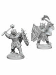 Dungeons & Dragons Nolzur's Marvelous Miniatures Dragonborn Paladin