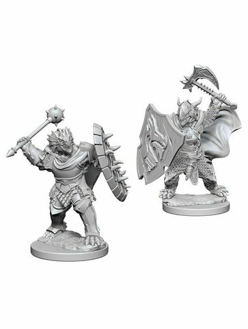 Dungeons & Dragons Nolzur's Marvelous Miniatures Dragonborn Paladin