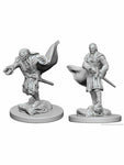 D&D Nolzur's Marvelous Miniatures Vampires