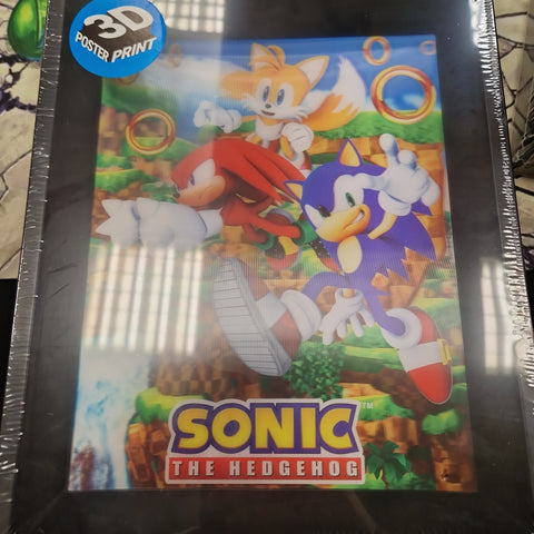 Sonic Catching Rings 3d poster