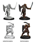 Dungeons & Dragons Nolzur's Marvelous Miniatures Dragonborn Paladin