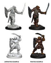 Dungeons & Dragons Nolzur's Marvelous Miniatures Dragonborn Paladin