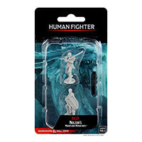 WizKids - D&D Nolzurs Marvelous Miniatures: Female Human Fighter