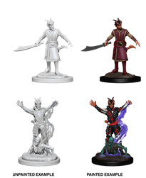 Dungeons & Dragons Nolzur's Marvelous Miniatures Tiefling Warlock