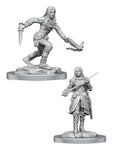 D&D Nolzur's Marvelous Miniatures Half-Elf Rogues
