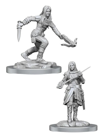 D&D Nolzur's Marvelous Miniatures Half-Elf Rogues