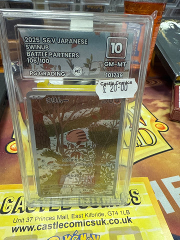 SWINUB JAPANESE 16/100 GRADED PG 10