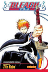 Bleach, Vol.1