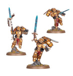 Blood Angels - Sanguinary Guard