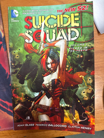 Suicide Squad Volume 1 Kicked in the teeth
