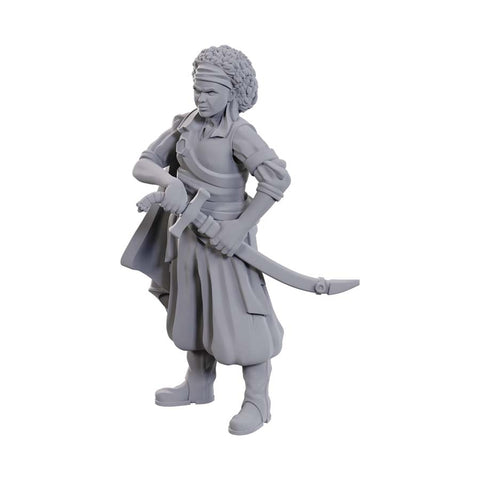 Dungeons & Dragons Nolzur's Marvelous Miniatures Ansalon Human Rogue