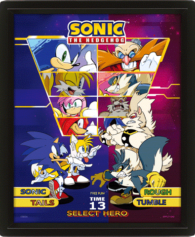 Sonic The Hedgehog (Select Your Fighter) 10 x 8" 3D Lenticular Poster (Framed)