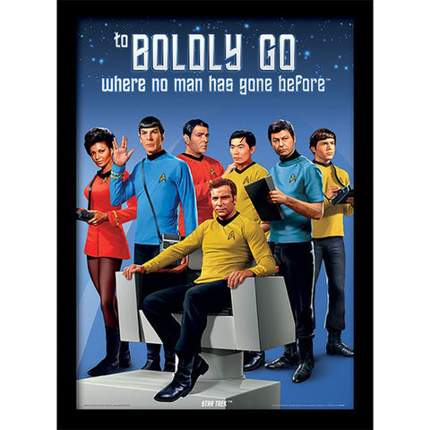 Star Trek (Boldly Go) 30 x 40cm Collector Print (Framed)