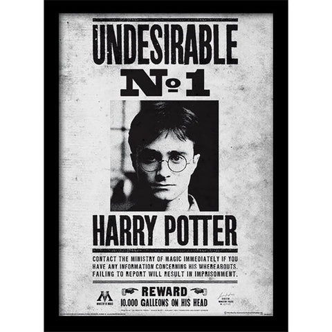 Harry Potter (Undesirable No1) 30 x 40cm Collector Print (Framed)