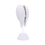 Angel Wings 26cm - 100