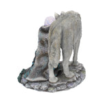 Protector (Limited Edition) (AS) 25cm - 79