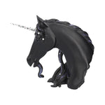 Jewelled Midnight (S) 15cm - 61