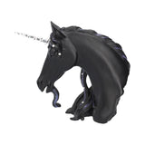 Jewelled Midnight (S) 15cm - 61