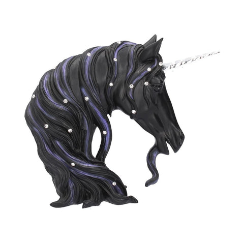 Jewelled Midnight (S) 15cm - 61