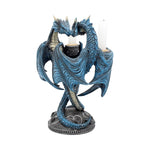Dragon Heart (AS) 23cm - 100
