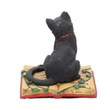 Eclipse (NN) 12cm - 0
