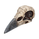 Edgar's Raven Skull 21cm - 100