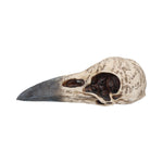 Edgar's Raven Skull 21cm - 100