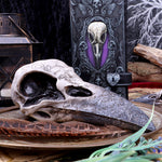 Edgar's Raven Skull 21cm - 100
