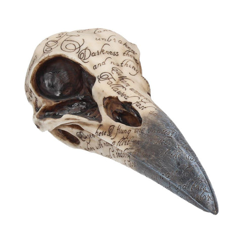 Edgar's Raven Skull 21cm - 100