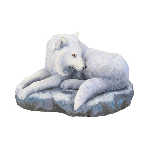 Guardian Of The North (LP) 19.5cm - 100
