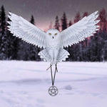 Awaken your Magic (AS) 45cm - 67
