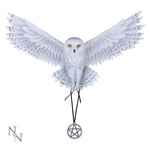 Awaken your Magic (AS) 45cm - 67