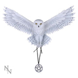 Awaken your Magic (AS) 45cm - 67