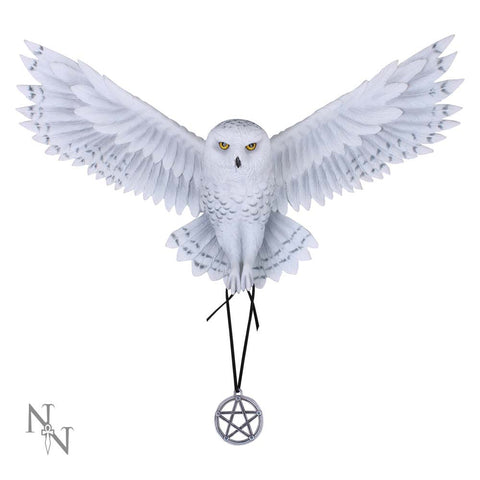 Awaken your Magic (AS) 45cm - 67