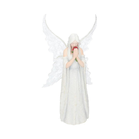 Only Love Remains (AS) 26cm - 38