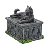 Fortune's Watcher Tarot Box 17cm - 100
