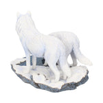 Warriors of Winter (LP) 35cm - 26