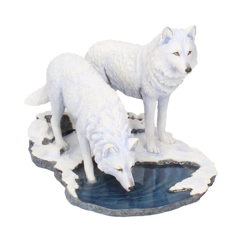 Warriors of Winter (LP) 35cm - 26