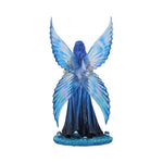 Enchantment (AS) 26cm - 100