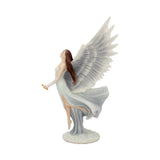 Ascendance (AS) 28cm - 23