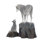 Guidance 25cm (LP) - 67