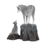 Guidance 25cm (LP) - 67